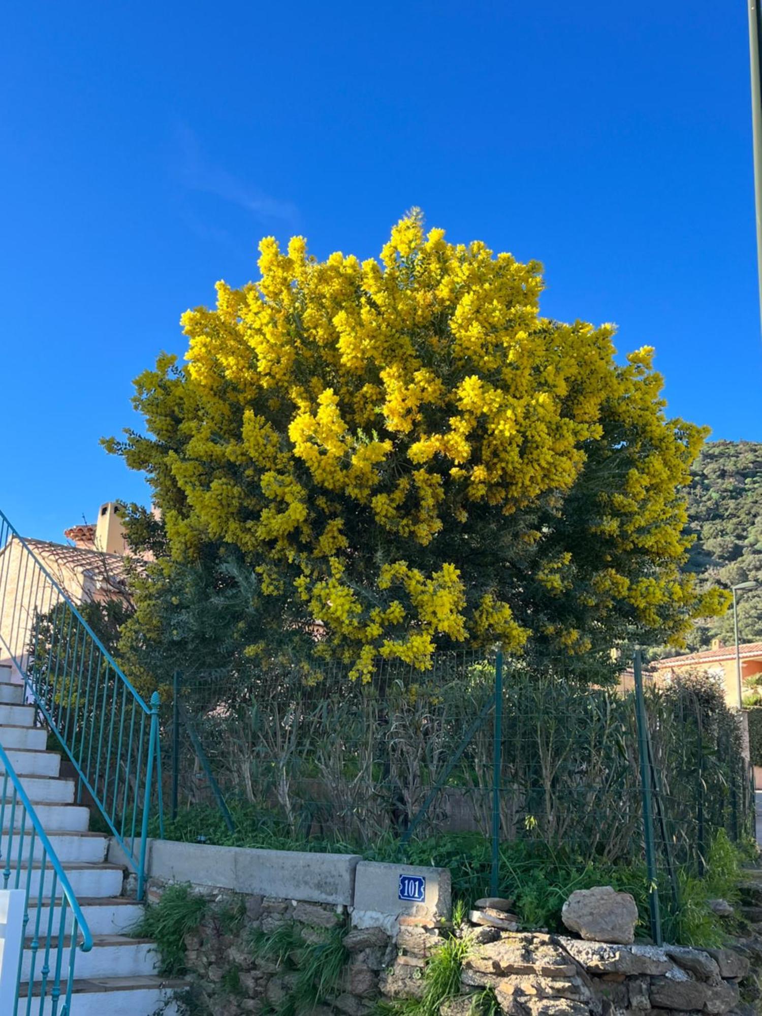 Le Lavandou St Clair Esterno foto