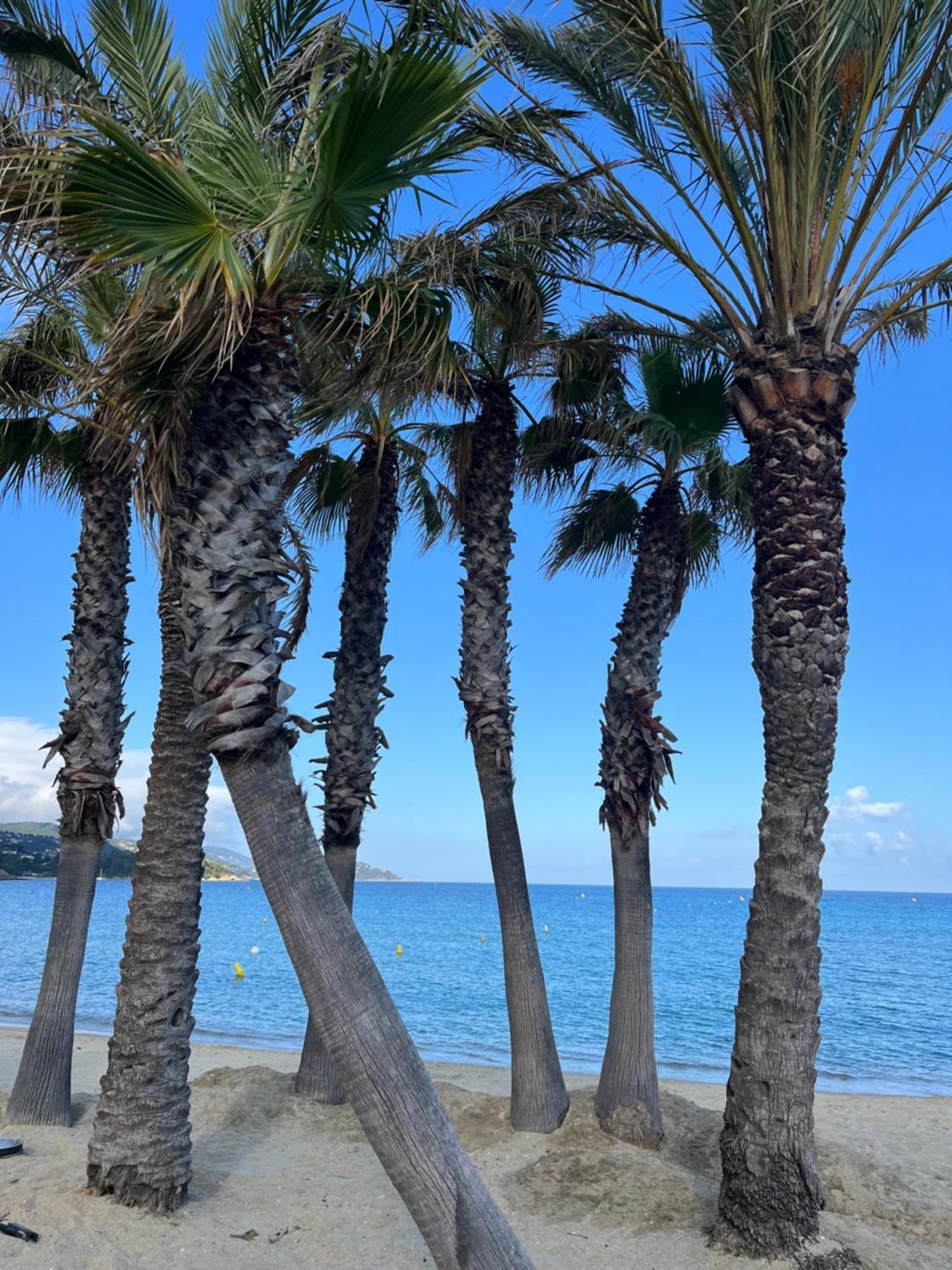 Le Lavandou St Clair Esterno foto